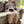 Cozy, Comfort, EMF & Grounding Fuzzy Blanket