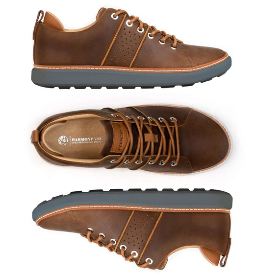 Men's Earthing Leather Walker Shoes