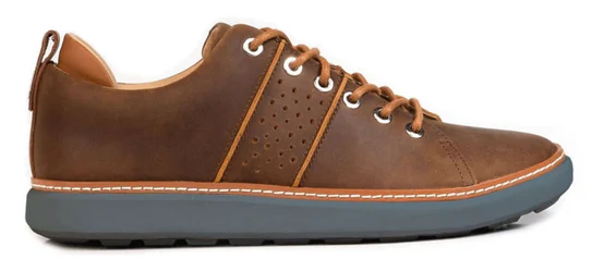 Men's Earthing Leather Walker Shoes