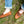 Men's CLEARANCE Earthing Moccasins Wide Brown Leather 1461-N (9 & 10 only)
