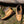 Women's Moose-Touch Earthing Moccasin Boots