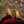 Women's Moose-Touch Earthing Moccasin Boots