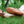 Women's Leather Earthing Moccasins BB81EMAIL