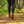 Women's Earthing Ankle Boots