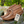 Women's Earthing Ankle Boots