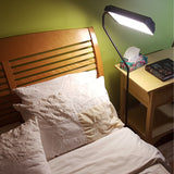 Flamingo Light Therapy Floor Lamp