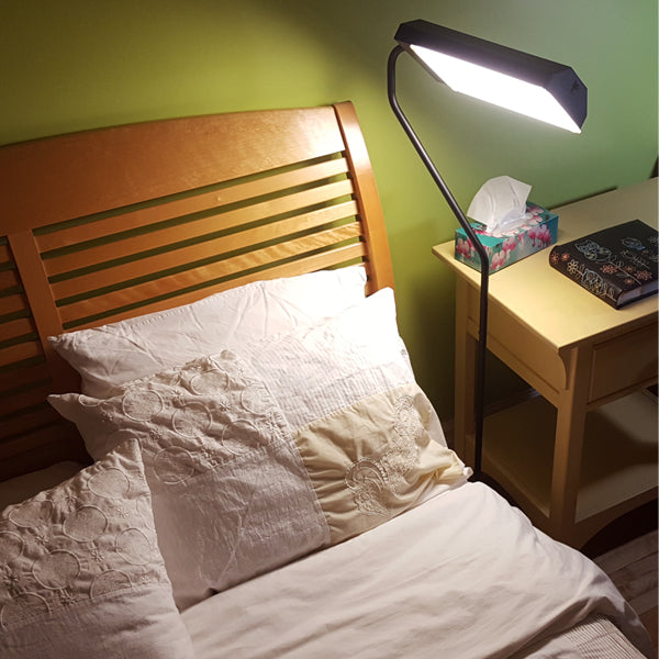 Flamingo Light Therapy Floor Lamp