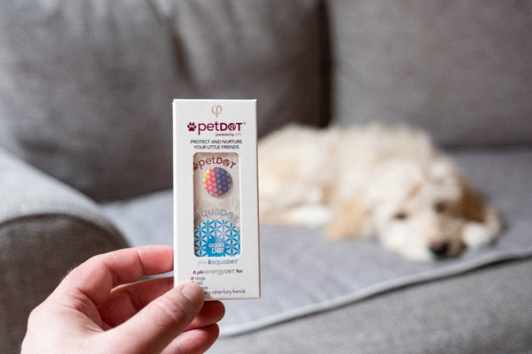 Energydots Dog PetDOT + AquaDOT