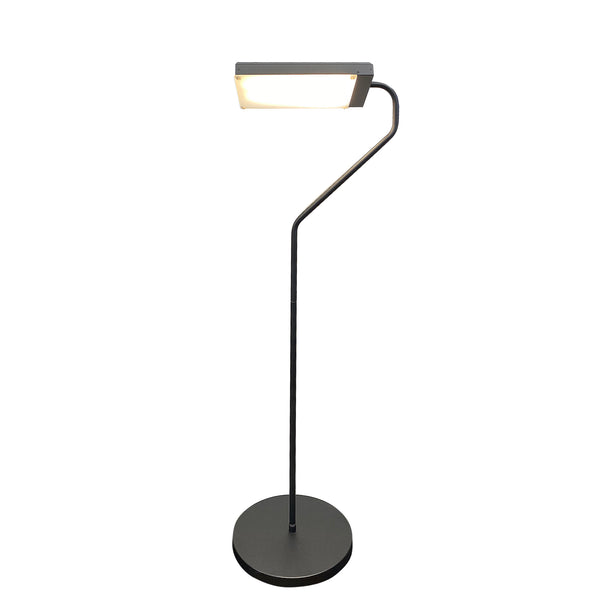 Flamingo Light Therapy Floor Lamp