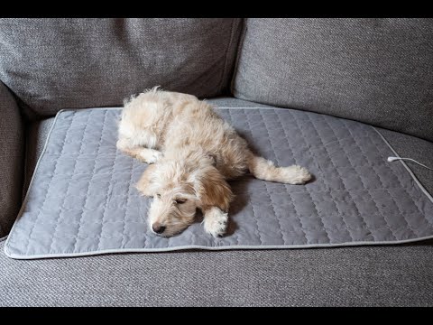 Dog Plush Earthing Pet Pad